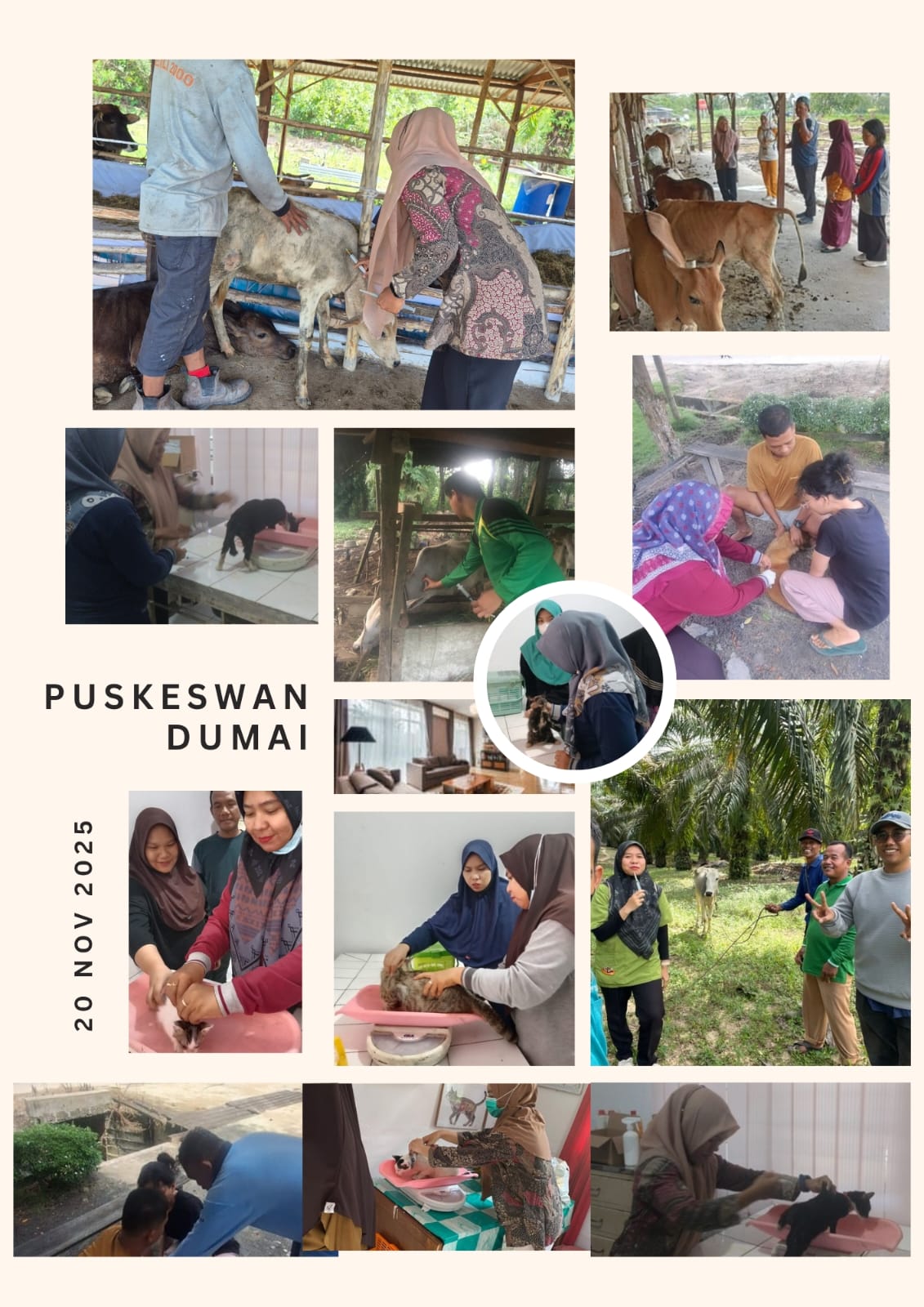 kegiatan Puskeswan  Kamis,20 Nov 2025