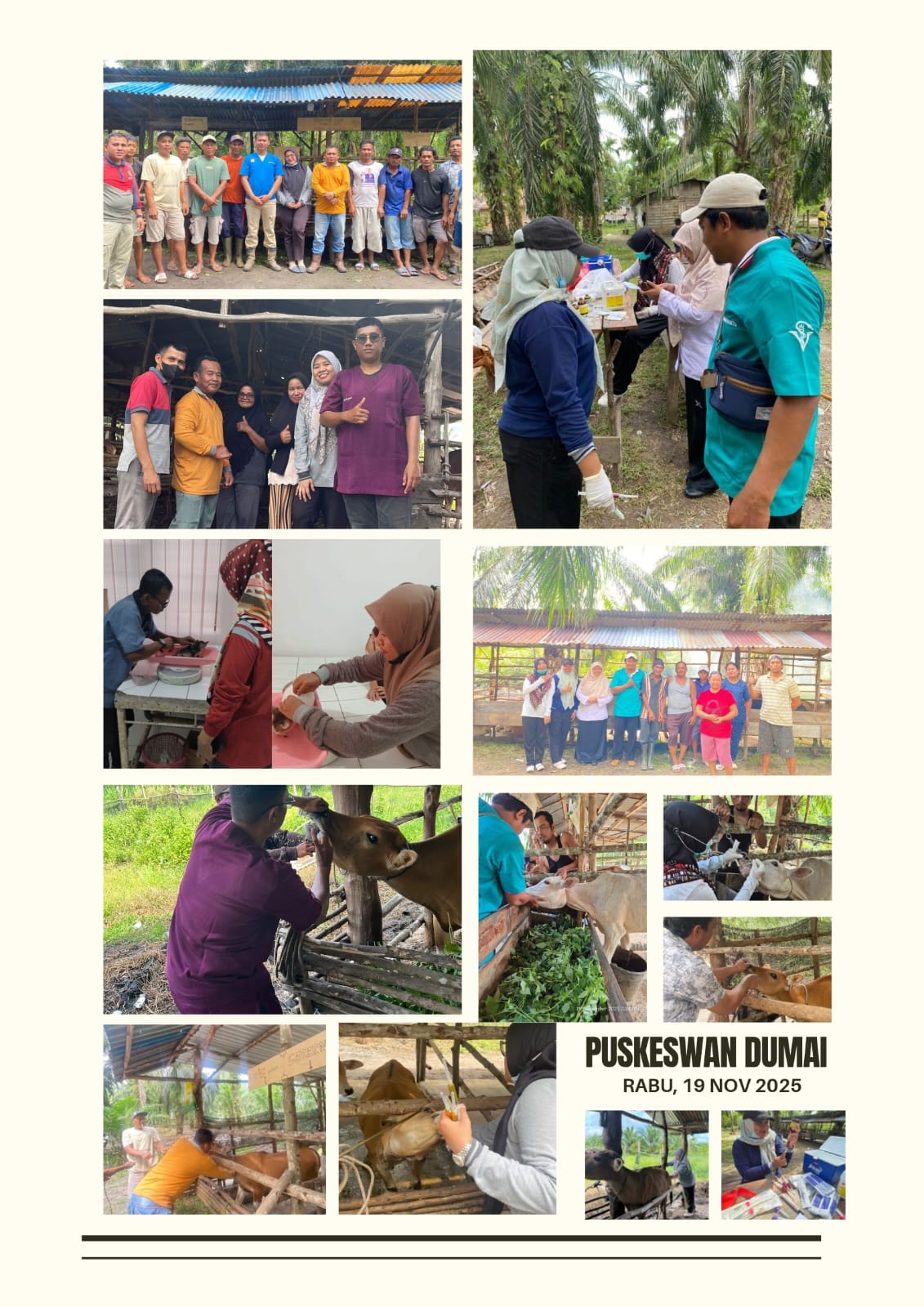 KEGIATAN PUSKESWAN DINAS KETAHANAN PANGAN DAN PERTANIAN KOTA DUMAI 19 NOVEMBER 2025